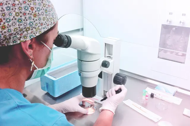 stockvault-doctor-embryologist172331.png